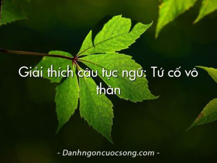 Giải thích câu tục ngữ: Tứ cố vô thân