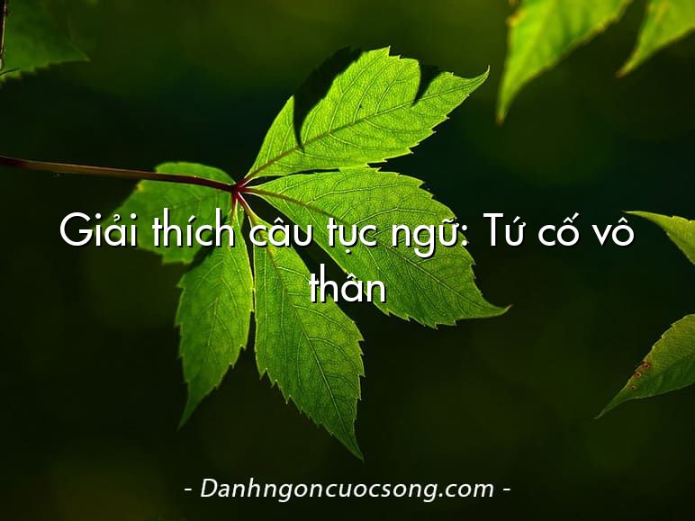 Giải thích câu tục ngữ: Tứ cố vô thân