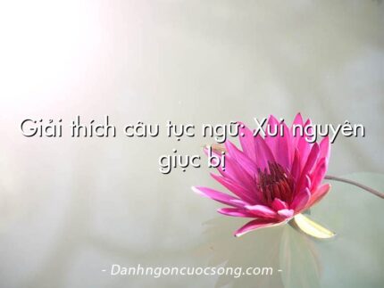 Giải thích câu tục ngữ: Xui nguyên giục bị