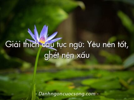 Giải thích câu tục ngữ: Yêu nên tốt, ghét nên xấu