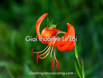 Giai thoại về Lê Lợi