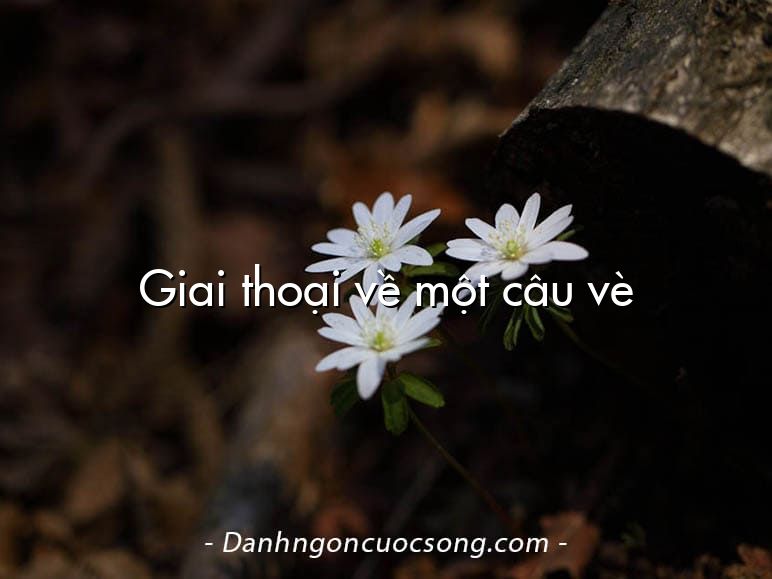 Giai thoại về một câu vè