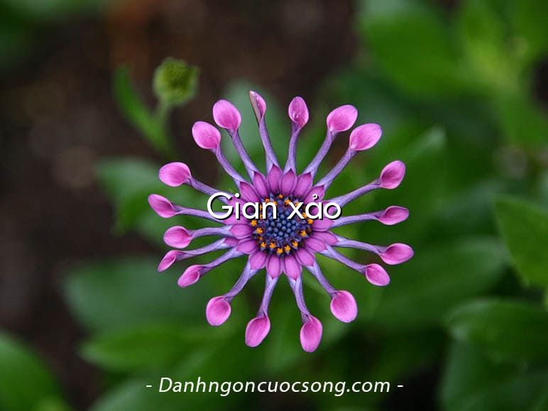Gian xảo