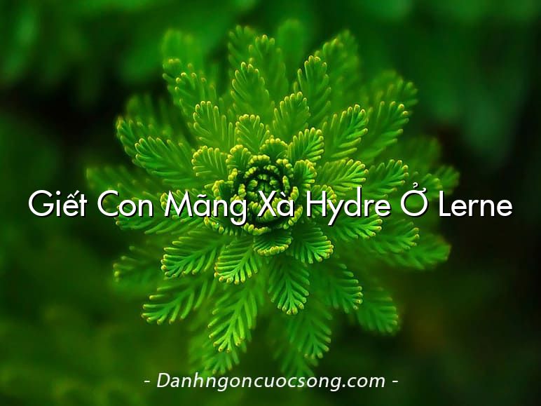 Giết Con Mãng Xà Hydre Ở Lerne