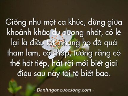 Giống như một ca khúc, dừng giữa khoảnh khắc du dương nhất, có lẽ lại là điều tốt, nhưng họ đã quá tham lam, cố chấp, tưởng rằng có thể hát tiếp, hát rồi mới biết giai điệu sau này tồi tệ biết bao.