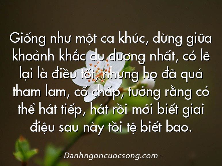 Giống như một ca khúc, dừng giữa khoảnh khắc du dương nhất, có lẽ lại là điều tốt, nhưng họ đã quá tham lam, cố chấp, tưởng rằng có thể hát tiếp, hát rồi mới biết giai điệu sau này tồi tệ biết bao.