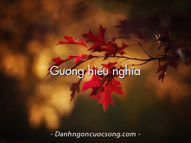 Gương hiếu nghĩa
