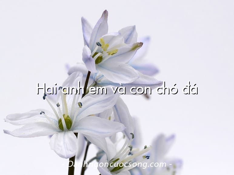 Hai anh em và con chó đá