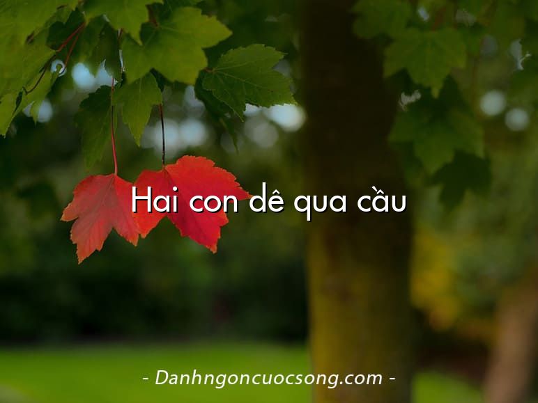 Hai con dê qua cầu