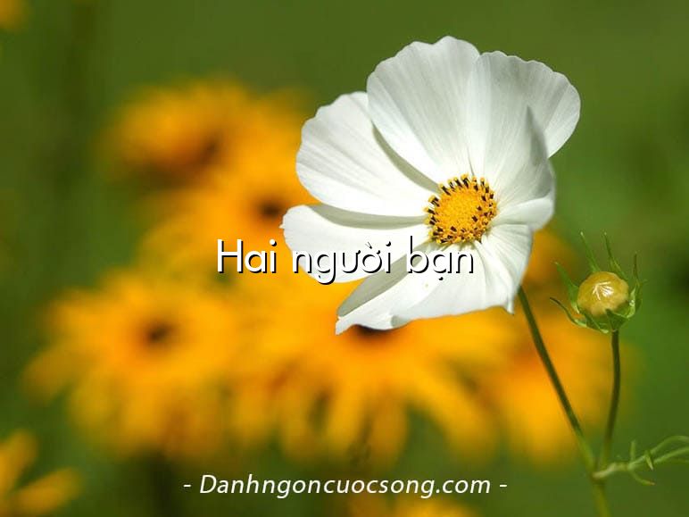 Hai người bạn