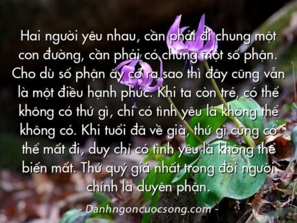 Hai người yêu nhau, cần phải đi chung một con đường, cần phải có chung một số phận. Cho dù số phận ấy có ra sao thì đây cũng vẫn là một điều hạnh phúc. Khi ta còn trẻ, có thể không có thứ gì, chỉ có tình yêu là không thể không có. Khi tuổi đã về già, thứ gì cũng có thể mất đi, duy chỉ có tình yêu là không thể biến mất. Thứ quý giá nhất trong đời người chính là duyên phận.