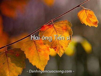 Hai ông Tiến sĩ