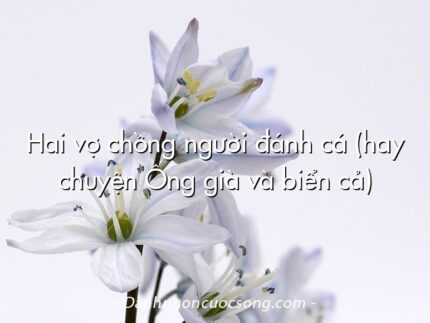 Hai vợ chồng người đánh cá (hay chuyện Ông già và biển cả)