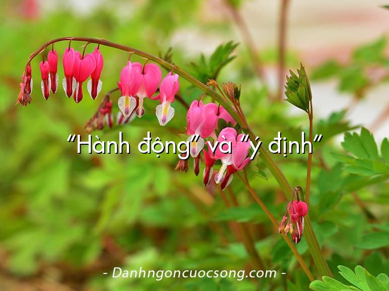 “Hành động” và “ý định”