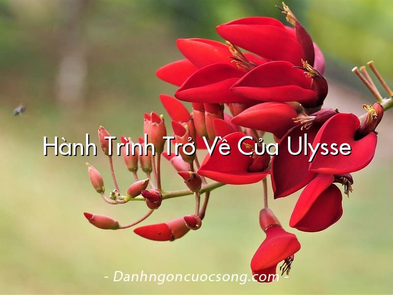 Hành Trình Trở Về Của Ulysse