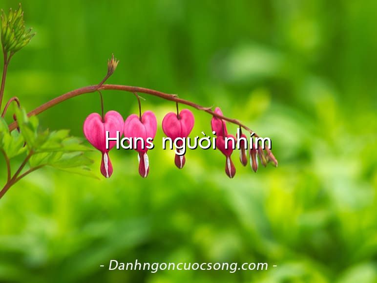 Hans người nhím