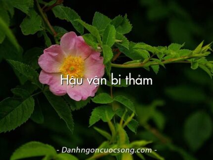 Hậu vận bi thảm