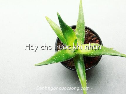 Hãy cho trước khi nhận