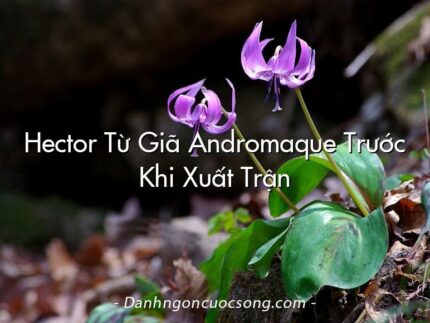 Hector Từ Giã Andromaque Trước Khi Xuất Trận