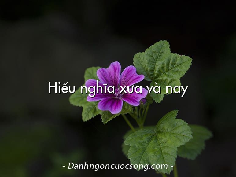 Hiếu nghĩa xưa và nay