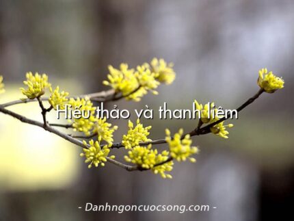 Hiếu thảo và thanh liêm
