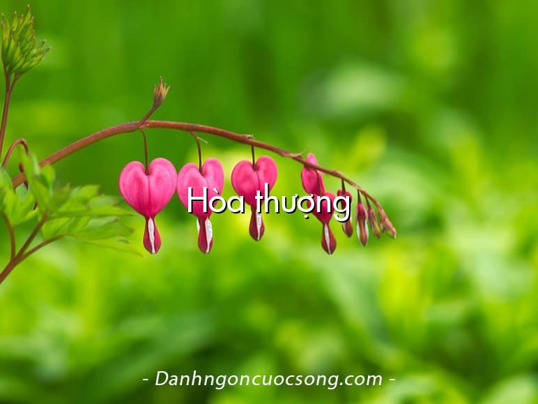 Hòa thượng