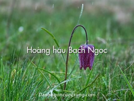 Hoàng hậu Bạch Ngọc