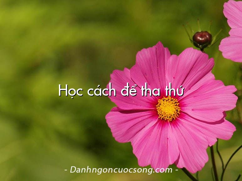 Học cách để tha thứ