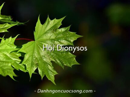 Hội Dionysos