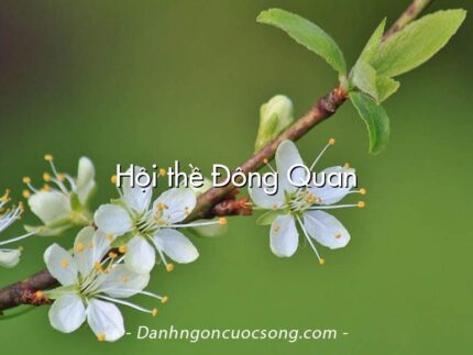 Hội thề Đông Quan