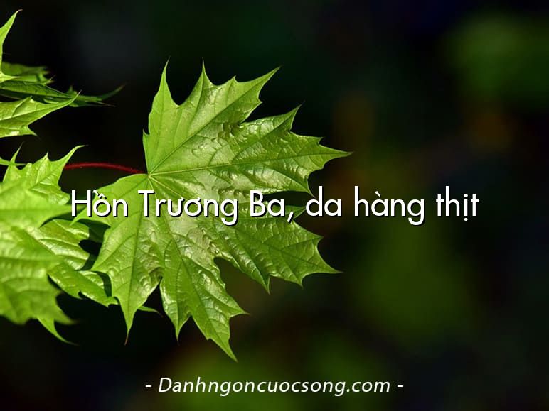 Hồn Trương Ba, da hàng thịt