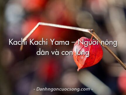 Kachi Kachi Yama – Người nông dân và con lửng