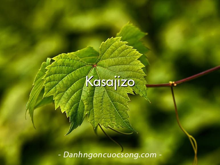 Kasajizo