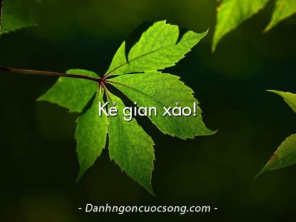 Kẻ gian xảo!
