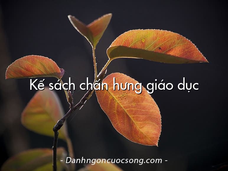 Kế sách chấn hưng giáo dục
