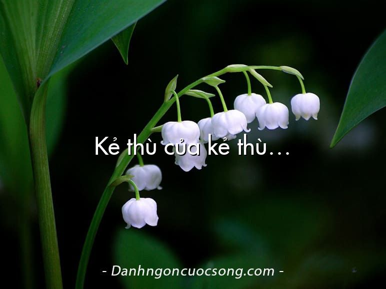 Kẻ thù của kẻ thù…