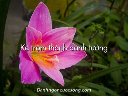 Kẻ trộm thành danh tướng