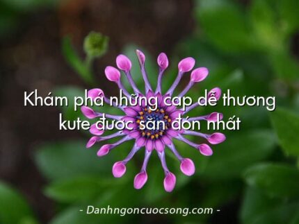 Khám phá những cap dễ thương kute được săn đón nhất