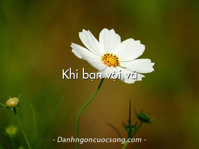 Khi bạn vội vã
