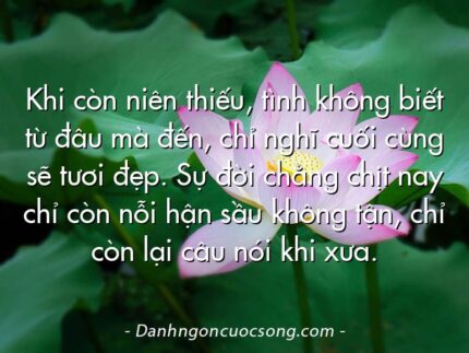 Khi còn niên thiếu, tình không biết từ đâu mà đến, chỉ nghĩ cuối cùng sẽ tươi đẹp. Sự đời chằng chịt nay chỉ còn nỗi hận sầu không tận, chỉ còn lại câu nói khi xưa.