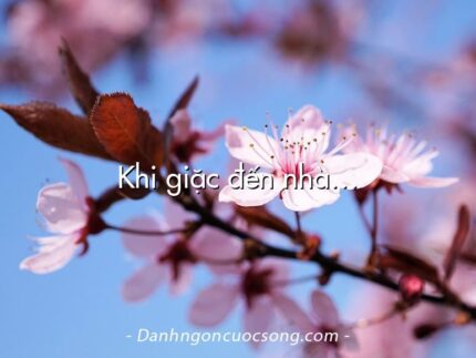 Khi giặc đến nhà…