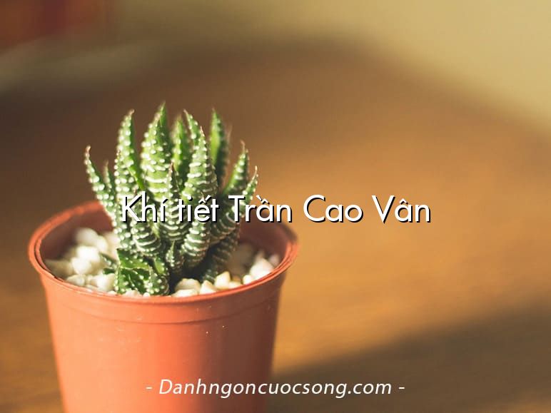 Khí tiết Trần Cao Vân