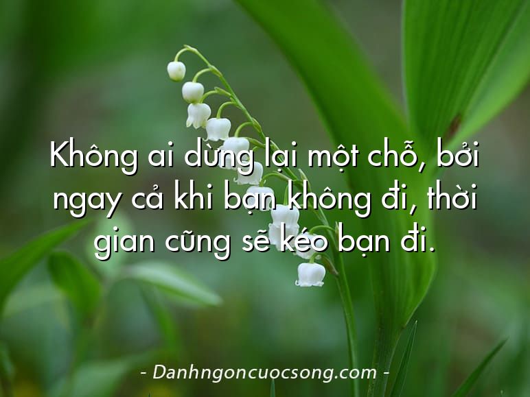 Không ai dừng lại một chỗ, bởi ngay cả khi bạn không đi, thời gian cũng sẽ kéo bạn đi.