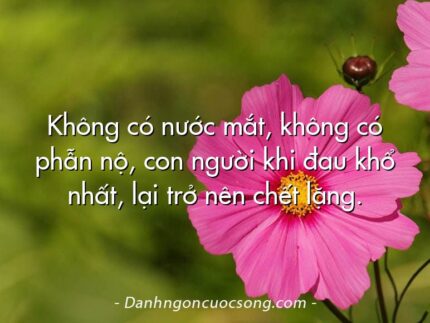 Không có nước mắt, không có phẫn nộ, con người khi đau khổ nhất, lại trở nên chết lặng.