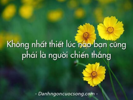 Không nhất thiết lúc nào bạn cũng phải là người chiến thắng