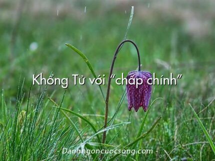 Khổng Tử với “chấp chính”