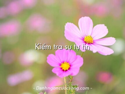 Kiểm tra sự tự tin
