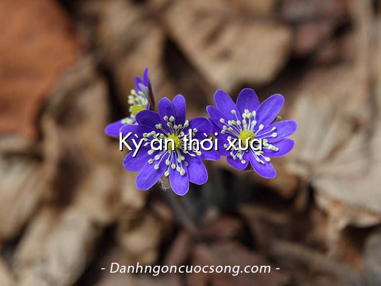 Kỳ án thời xưa