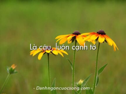 Là cậu, luôn cạnh tớ