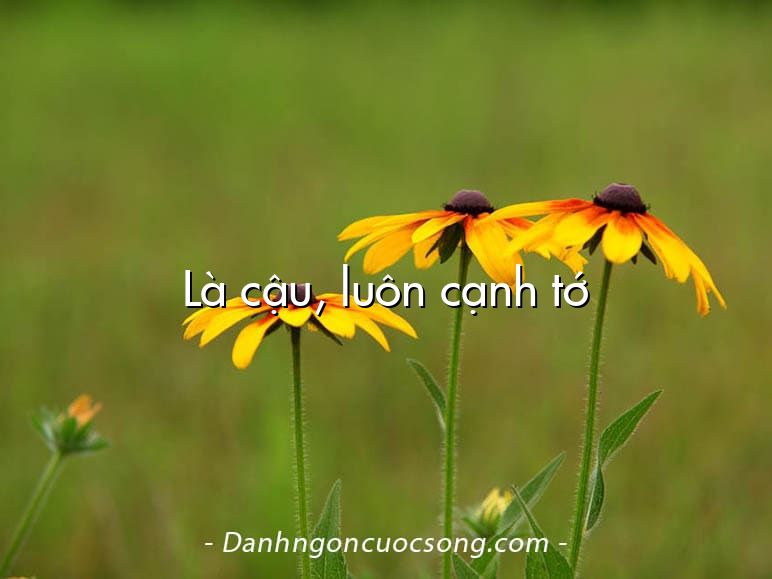 Là cậu, luôn cạnh tớ